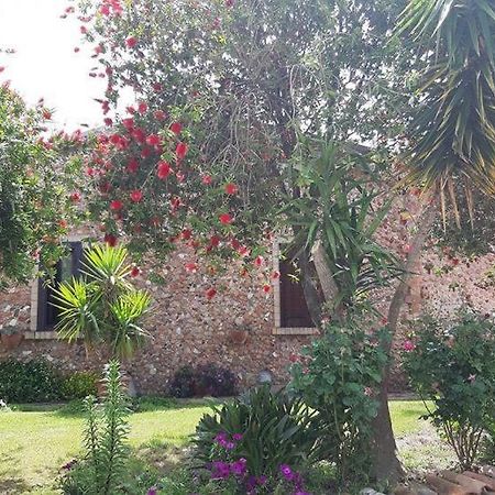 Agriturismo Pingitore Luzzi Kültér fotó