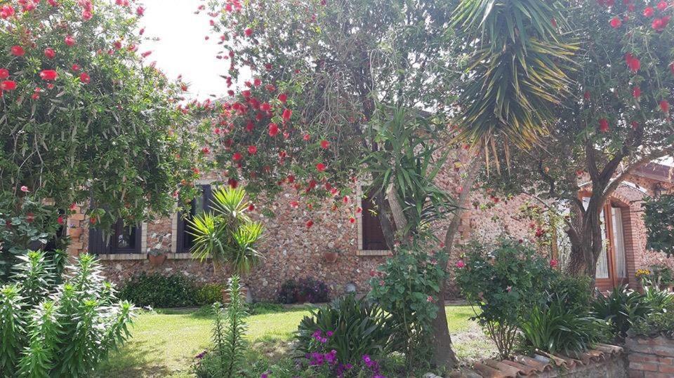 Agriturismo Pingitore Luzzi Kültér fotó