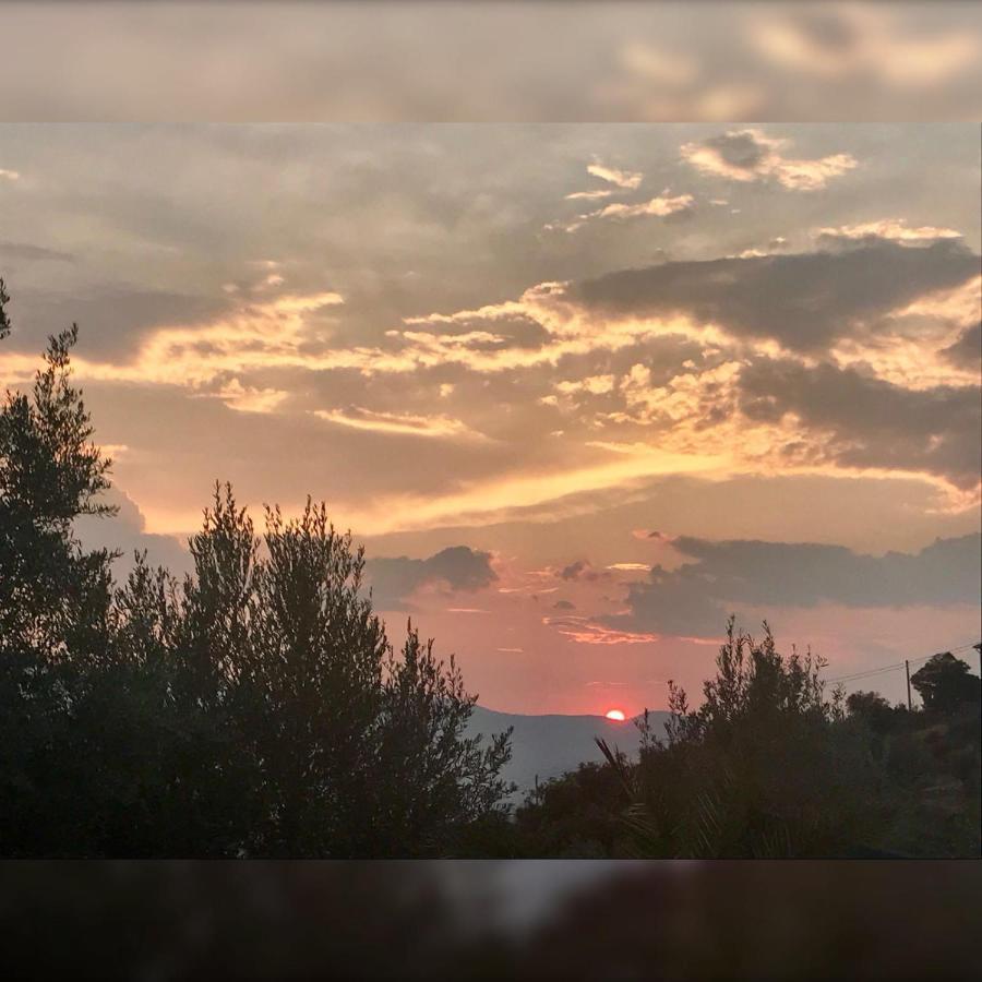 Agriturismo Pingitore Luzzi Kültér fotó