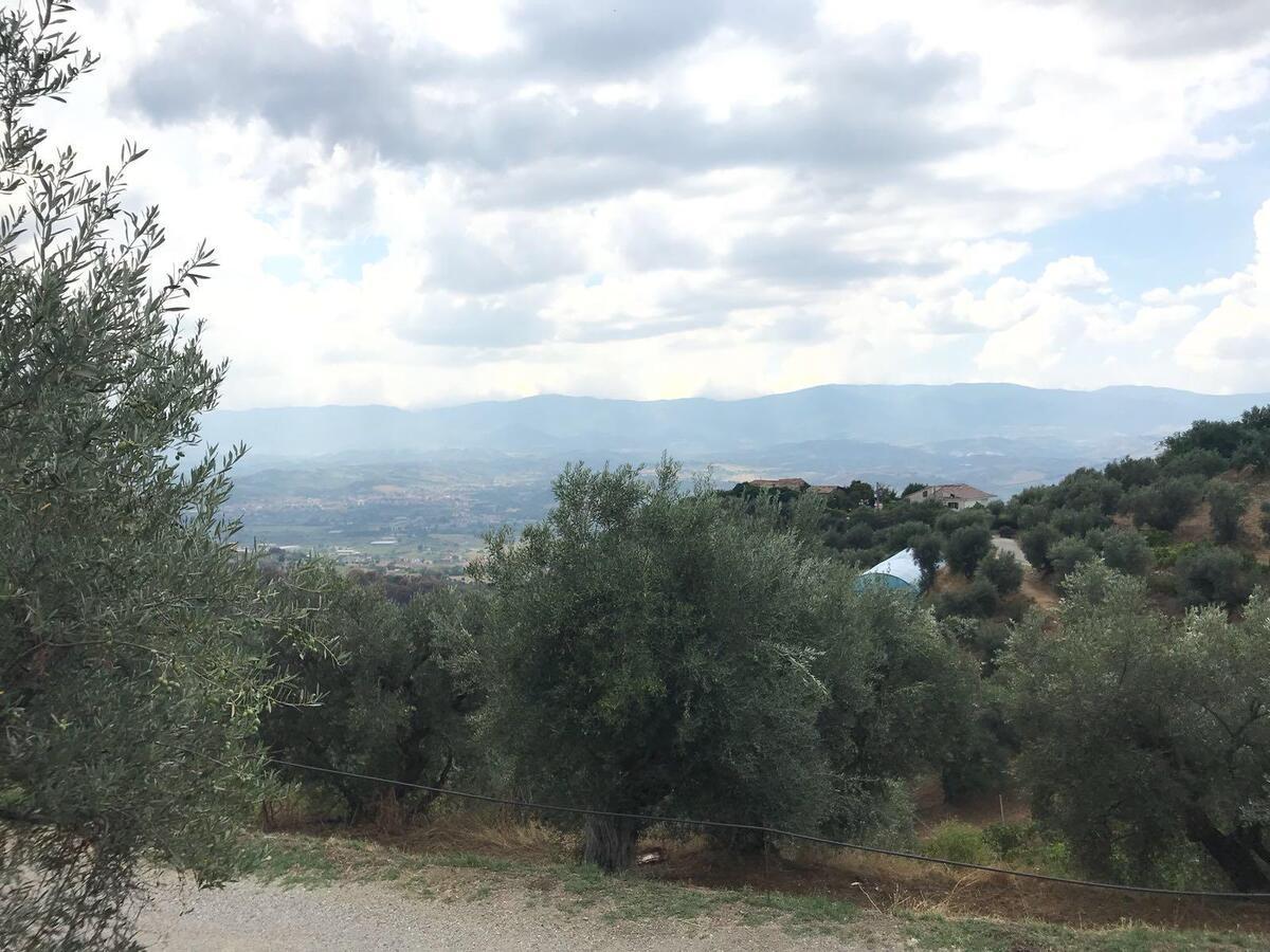 Agriturismo Pingitore Luzzi Kültér fotó