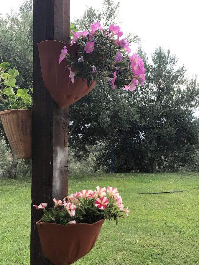 Agriturismo Pingitore Luzzi Kültér fotó