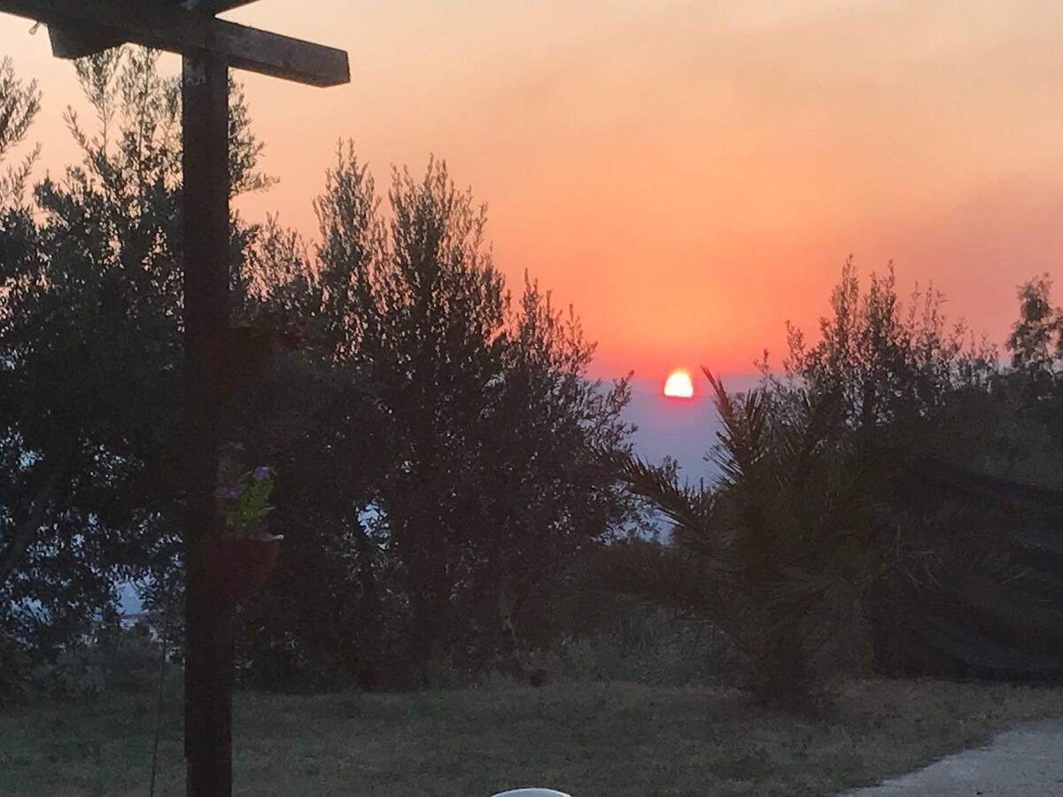 Agriturismo Pingitore Luzzi Kültér fotó