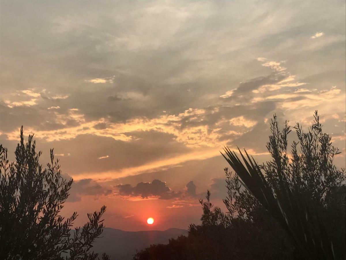 Agriturismo Pingitore Luzzi Kültér fotó